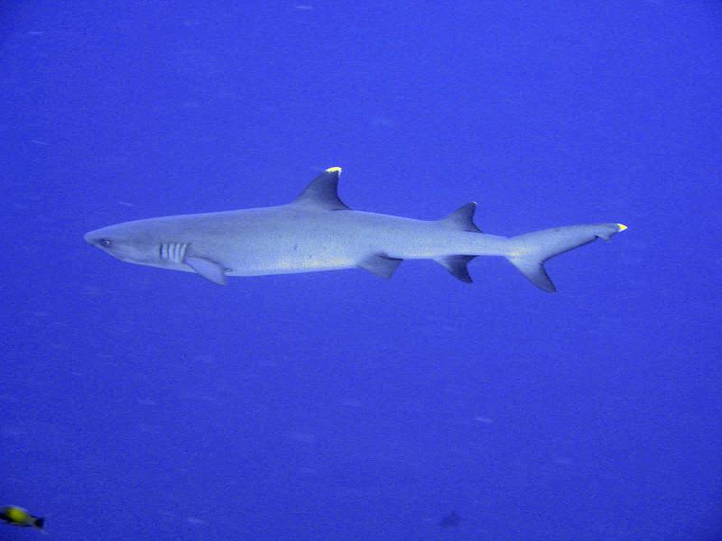 2013 02 11 Yann (19) +++b.jpg